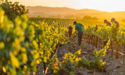 saisonnier aides et logements