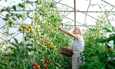 Salariés saisonniers, comment faciliter le règlement de vos frais d'hébergement ?